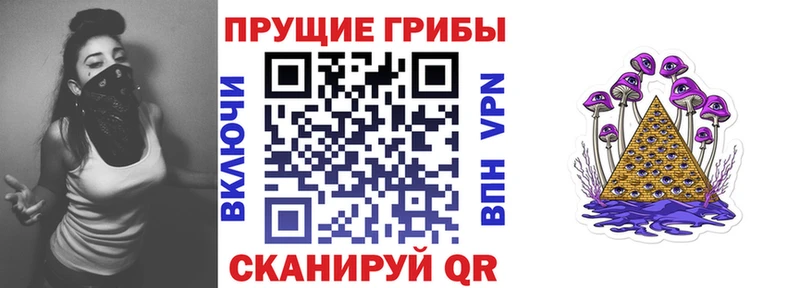 купить   Меленки  Галлюциногенные грибы мицелий 